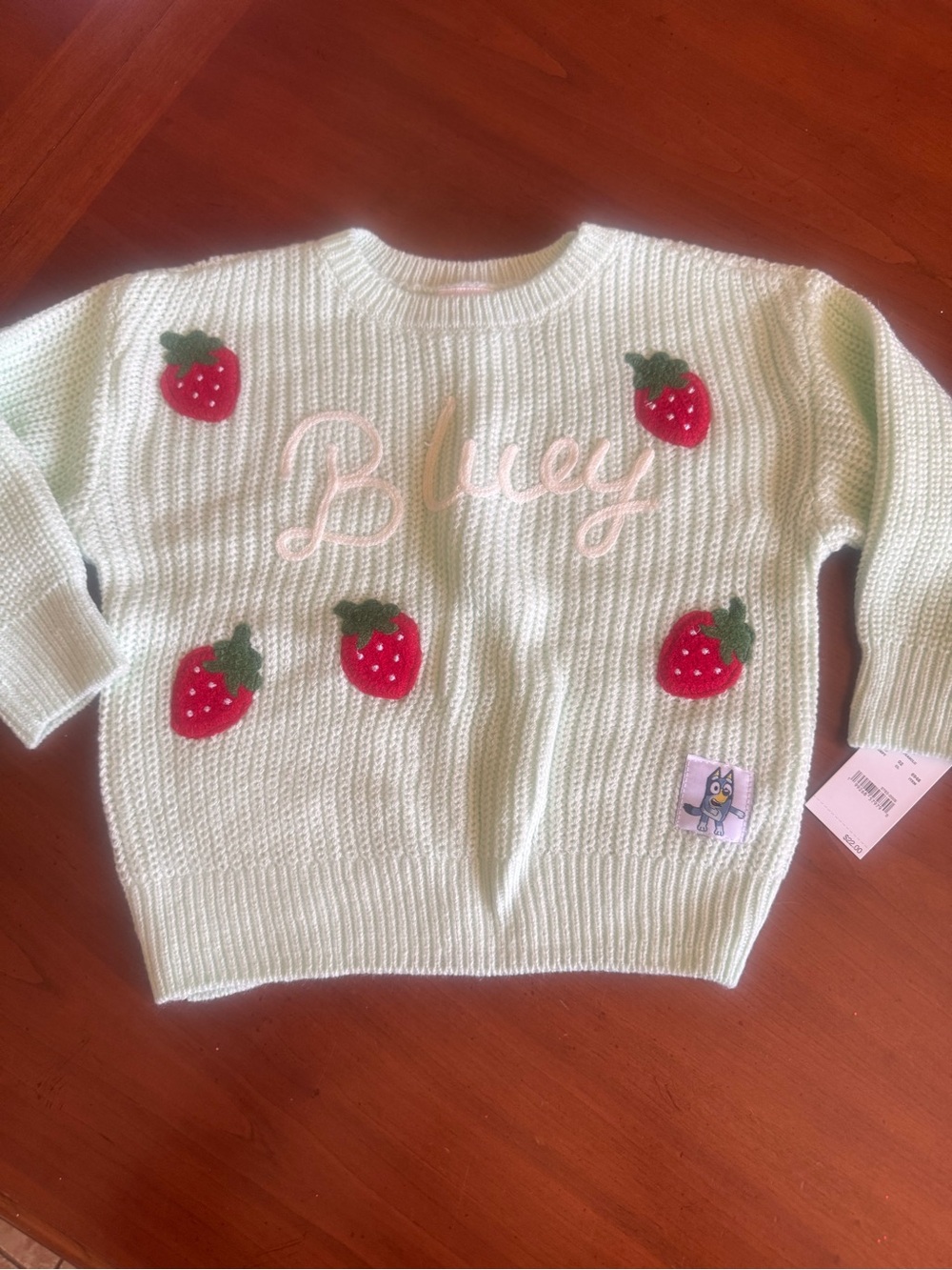 Mint Bluey with Strawberry Knit Sweater NWT Toddler 2T